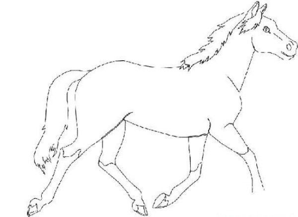 Childrens horse simple drawing picture