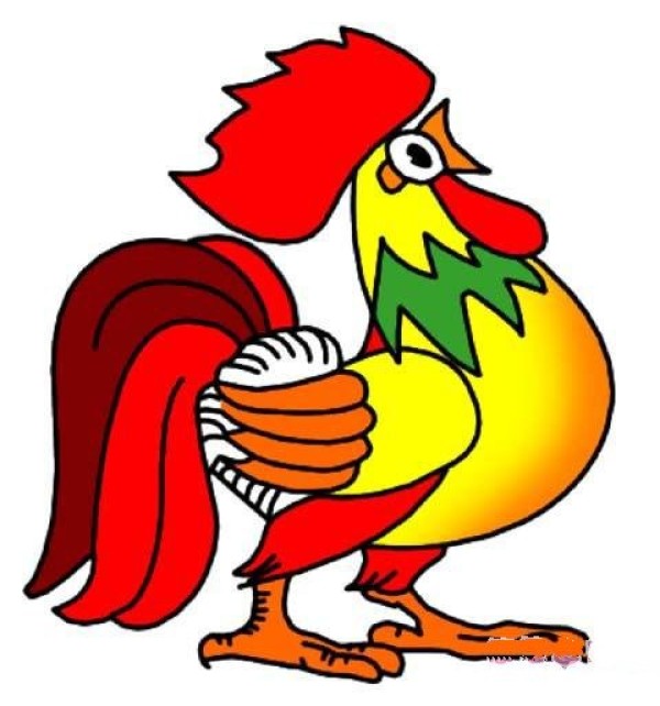 A complete collection of simple drawing pictures of beautiful big roosters with color