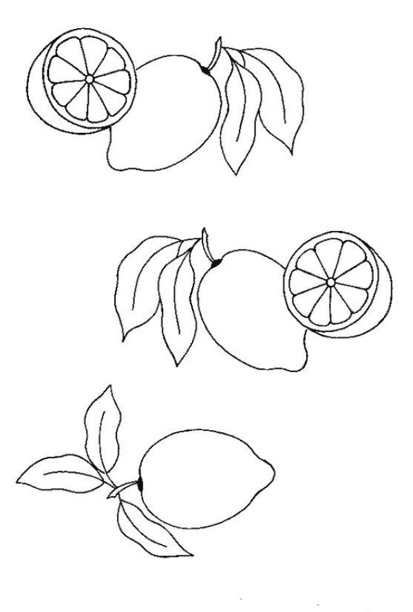 Lemon simple drawing picture