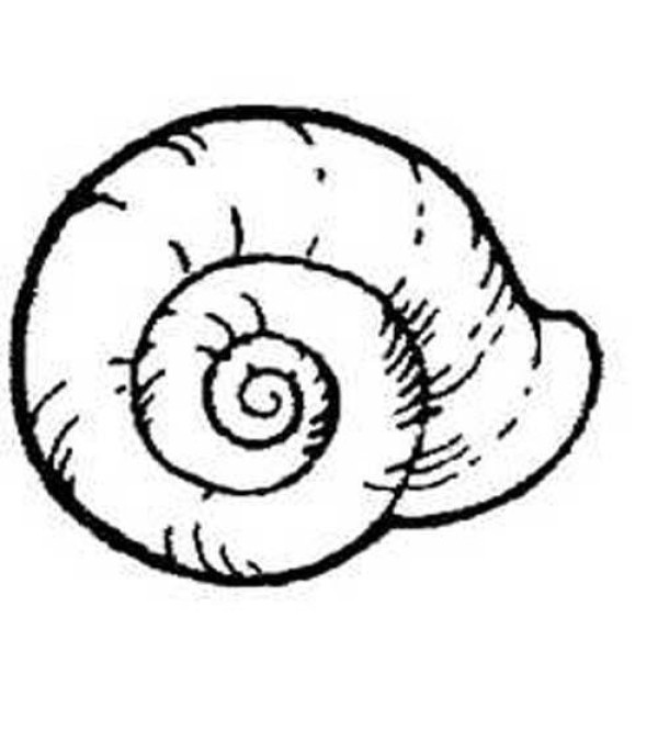 A complete collection of simple strokes of snails for children