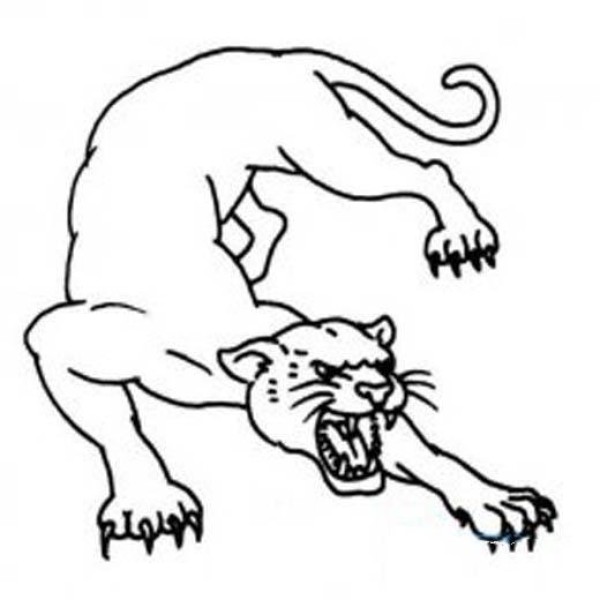 Primary school students' simple drawing pictures of ferocious leopards