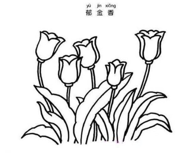 Simple strokes of flowers: tulips