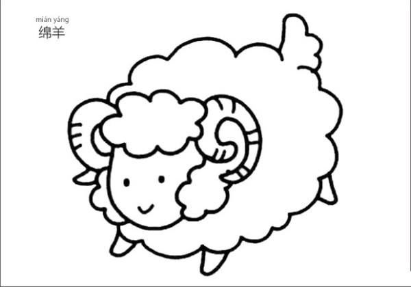 How to draw a simple drawing of a sheep