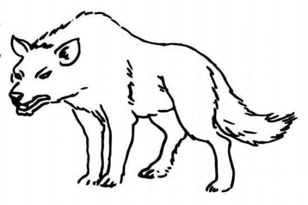 Childrens simple drawing pictures of wolves