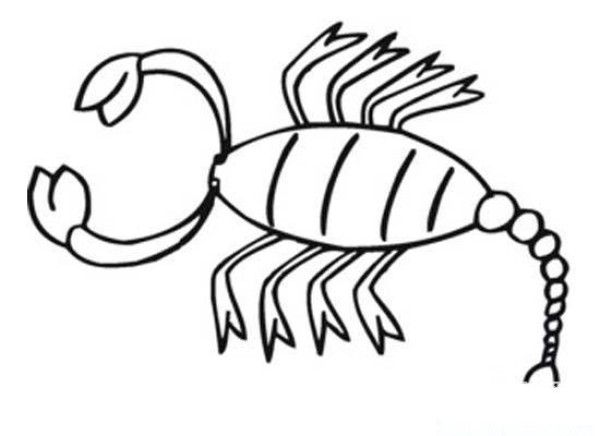 Childrens simple drawing of scorpion