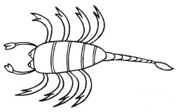 Kindergarten scorpion simple strokes picture