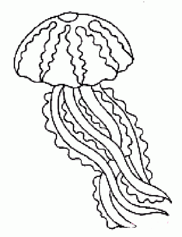 Simple drawing picture of dancing jellyfish