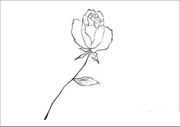 Simple strokes of a rose