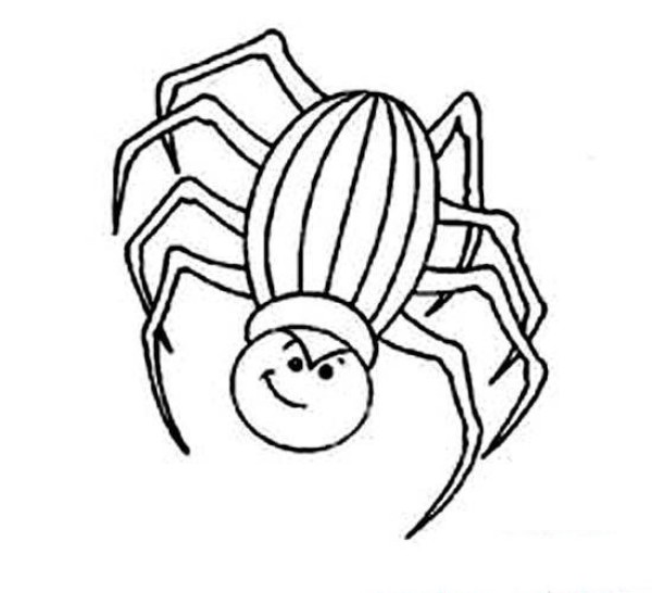 Cartoon Spider Simple Drawing Picture for Children