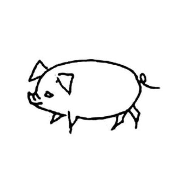 Pig simple drawing picture