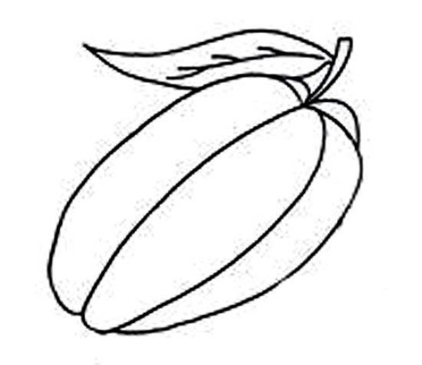 Childrens simple drawing picture of star fruit with leaves