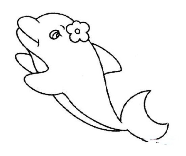 Cute female dolphin simple strokes picture