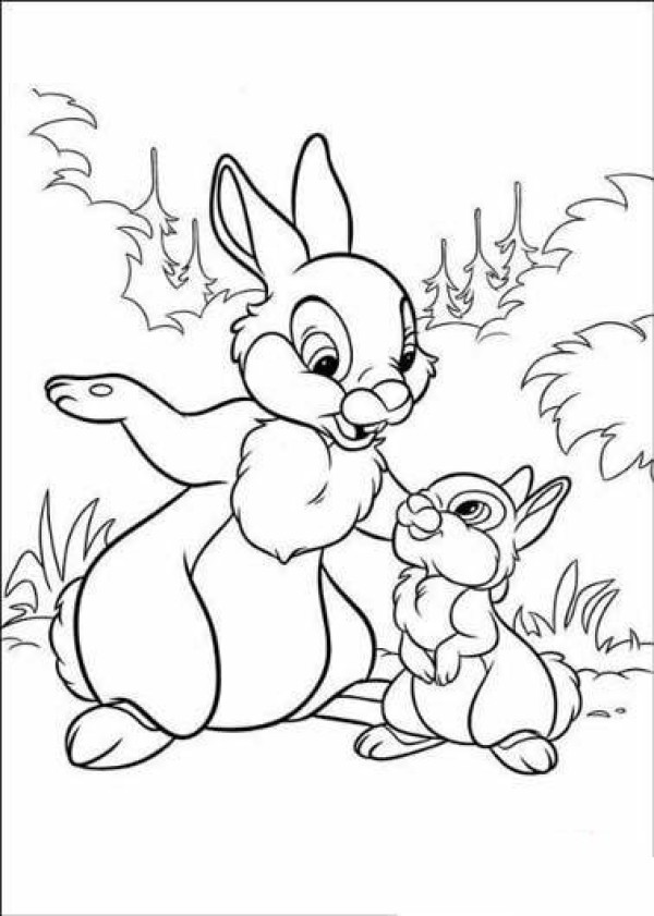 Childrens simple drawing: mother rabbit and bunny