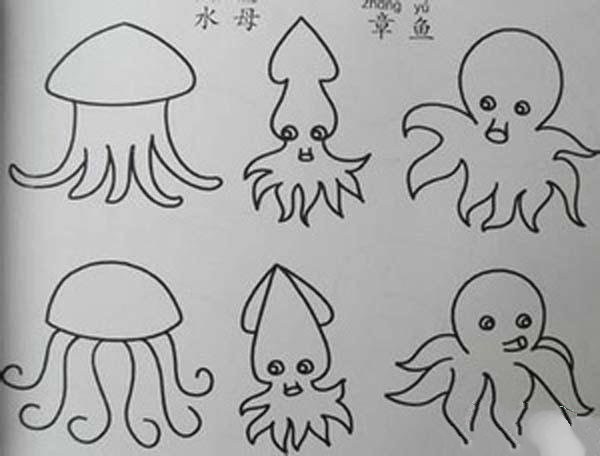 A complete picture of octopus, jellyfish, squid and simple strokes