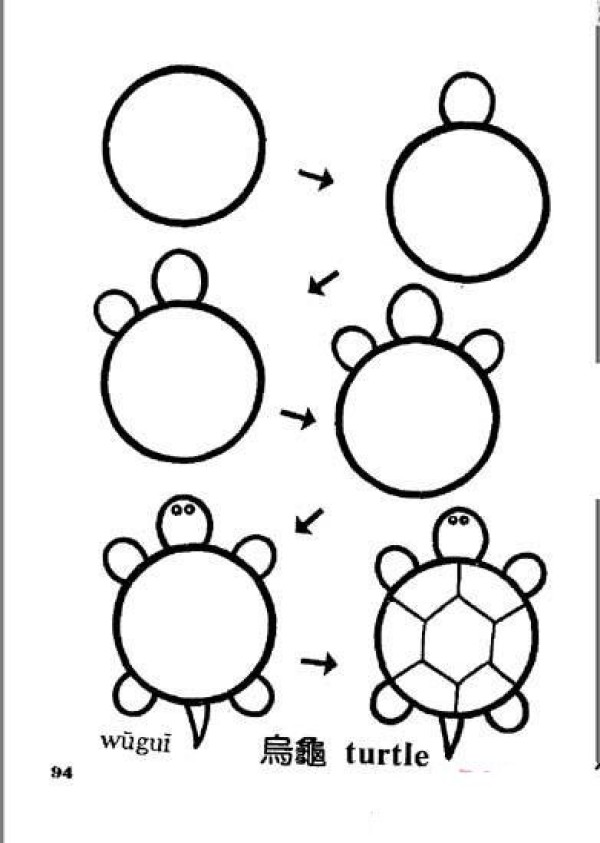 Steps to draw a turtle in simple strokes: How to draw a turtle