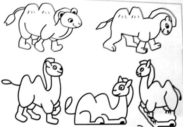 A collection of simple drawing pictures of various camels