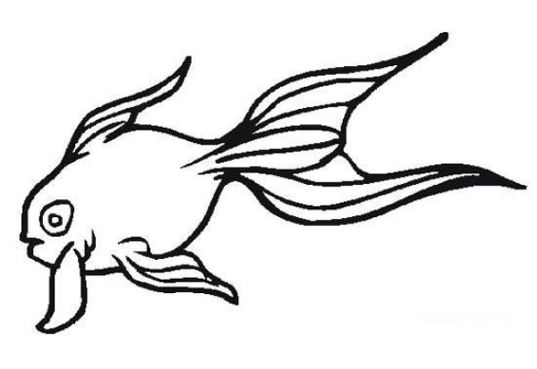 Simple strokes of butterfly tail goldfish