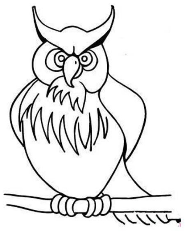 Owl simple strokes picture