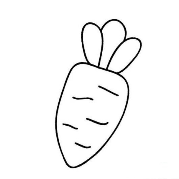 Simple drawing of radish in kindergarten