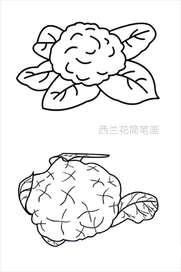 Broccoli simple strokes