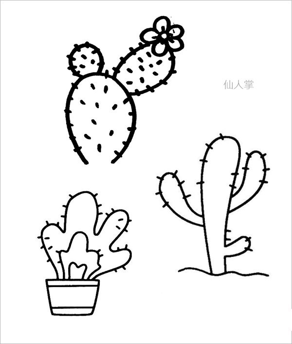 Complete collection of simple strokes of cactus