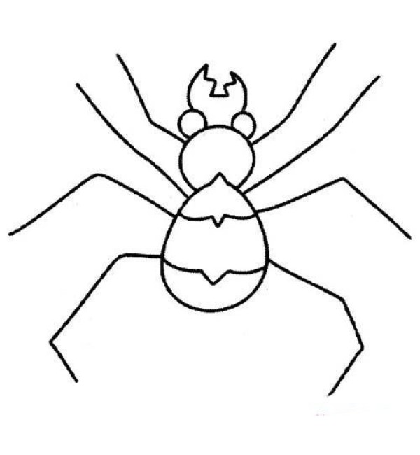 Childrens simple drawing pictures of spiders