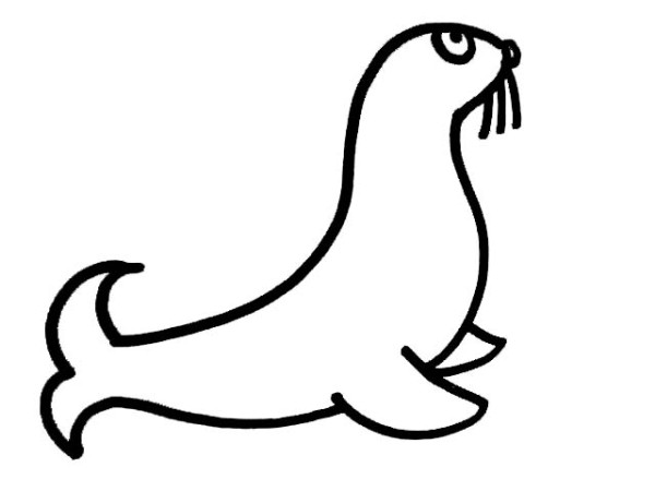 Simple strokes of sea lion