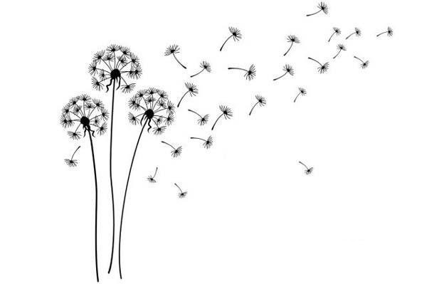 Blowing dandelions and flying beautiful artistic conception simple picture