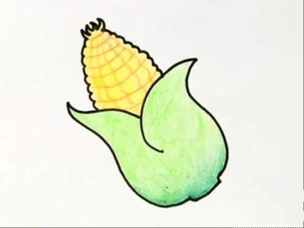 Simple picture of colorful corn