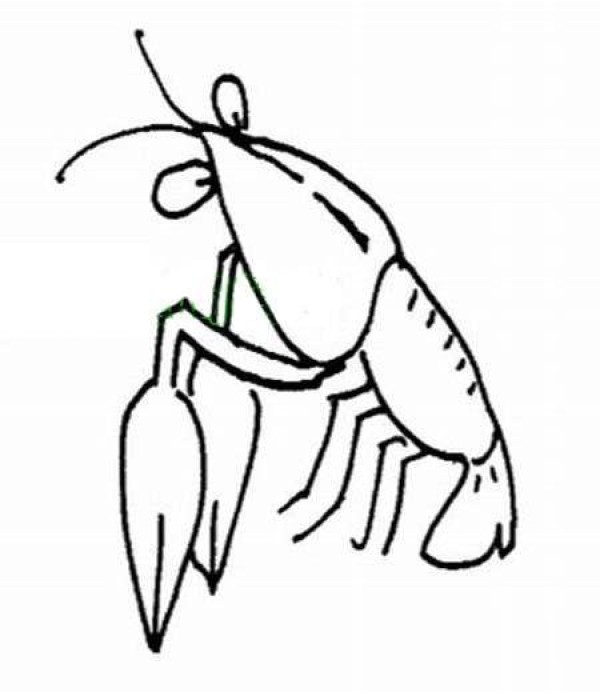 Childrens simple drawing pictures of crayfish