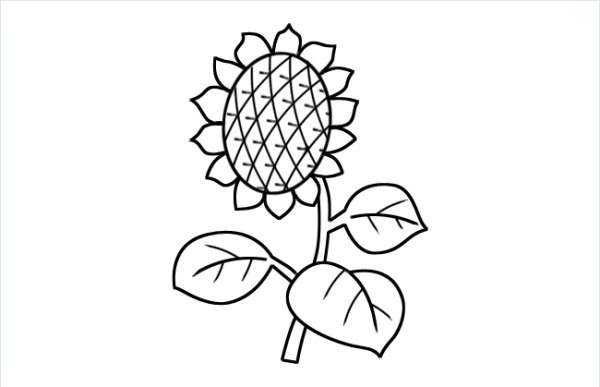 Childrens simple drawing of sunflower picture