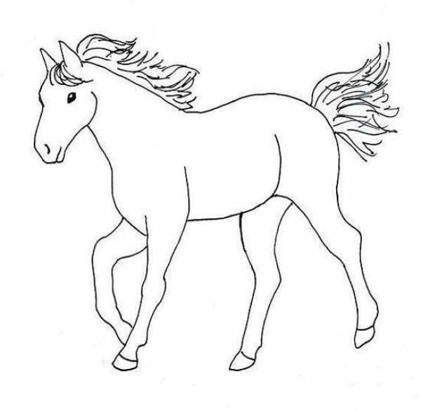 Animal simple drawing: horse