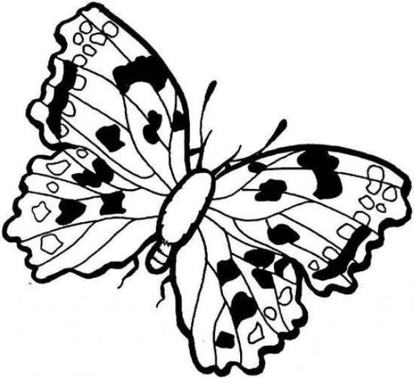 Beautiful butterfly simple strokes picture