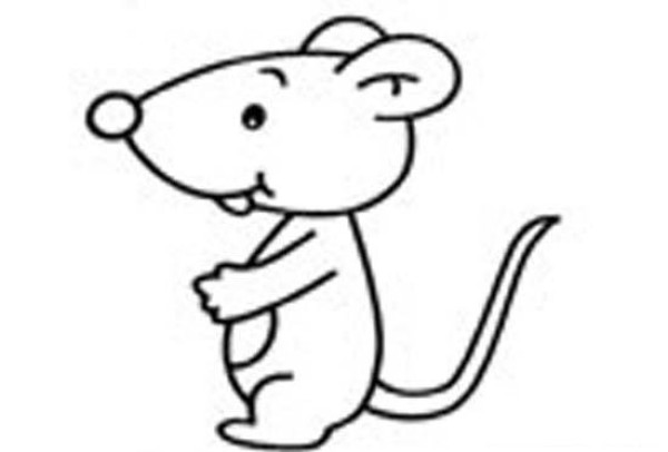 Cute cartoon little mouse simple drawing