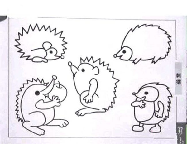 A collection of simple drawing pictures of various hedgehogs