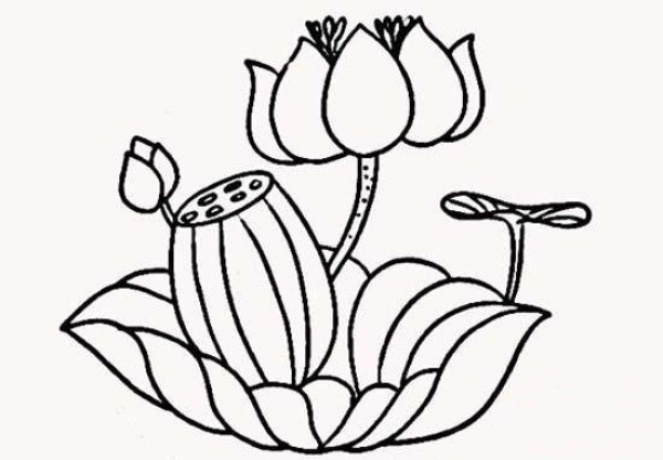 Childrens simple drawing of lotus lotus