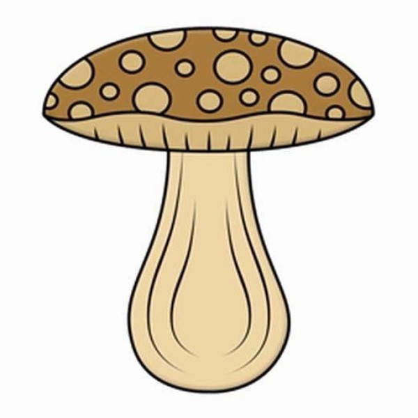 Coloring Mushroom Simple Drawing