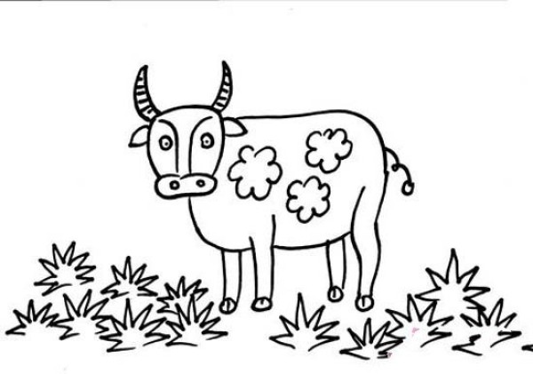 Simple drawing pictures about buffalo