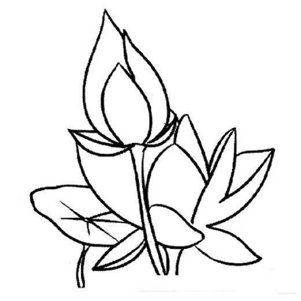 Childrens simple drawing pictures of lotus