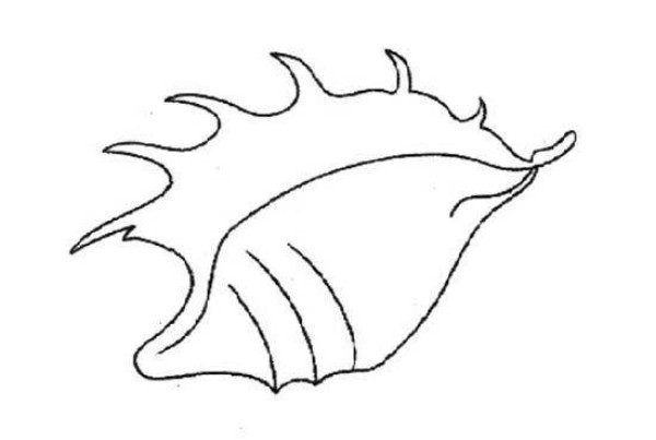 Simple drawing of conch shell