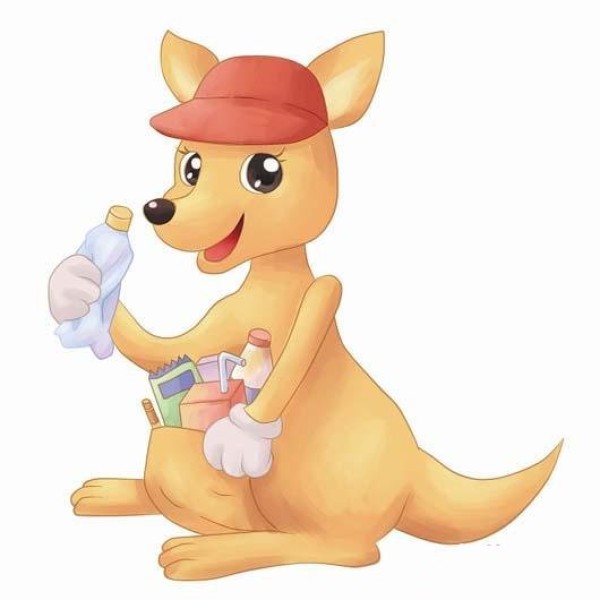 Complete collection of simple drawing pictures of cartoon kangaroos with color