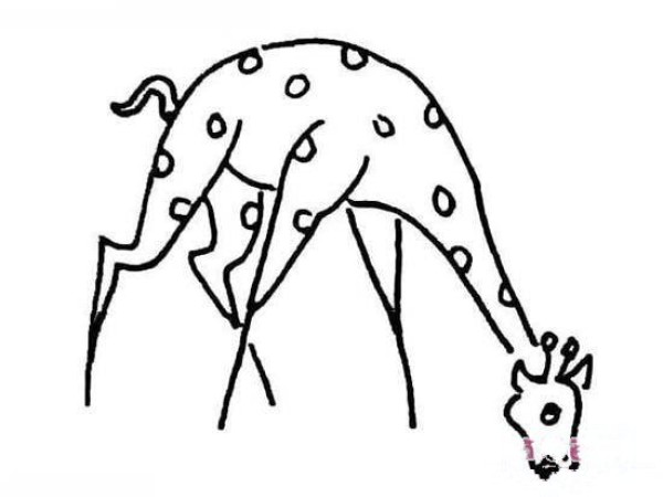 Simple drawing of a giraffe leaning over to eat grass