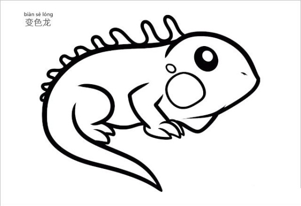 How to draw a chameleon