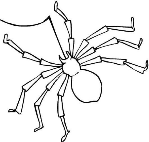 Childrens simple drawing pictures of poisonous needle spiders