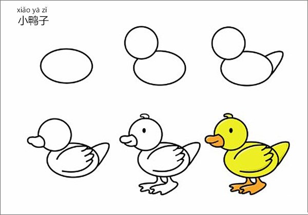 How to draw a little duck