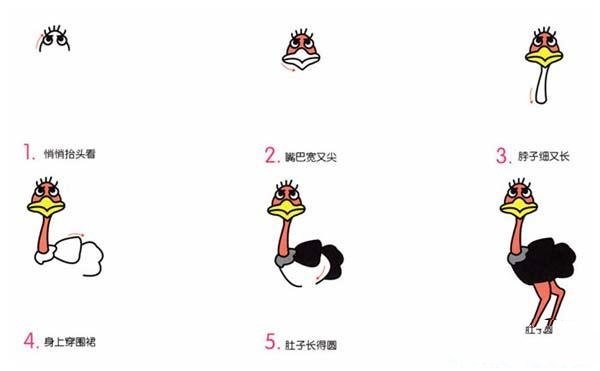 Childrens simple drawing tutorial about ostrich: How to draw ostrich