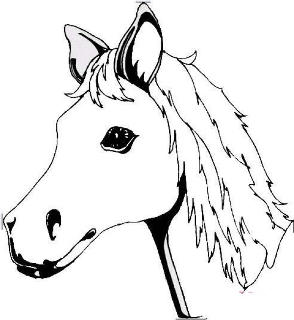 Simple strokes of horses head