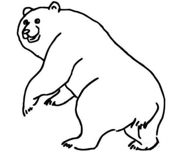 Childrens simple drawing pictures of bears