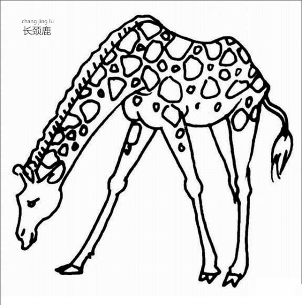 How to draw a giraffe in simple strokes