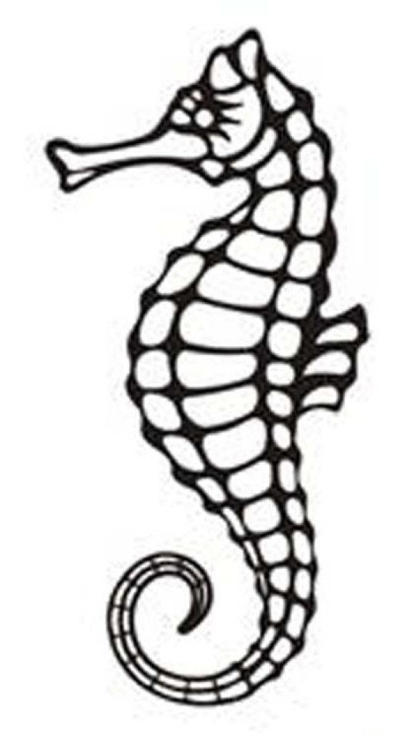 Childrens simple drawing pictures of seahorses